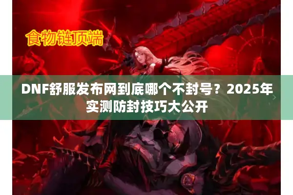 DNF舒服发布网到底哪个不封号？2025年实测防封技巧大公开