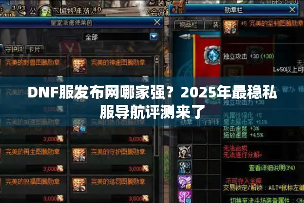 DNF服发布网哪家强？2025年最稳私服导航评测来了