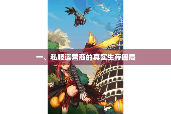 一、私服运营商的真实生存困局