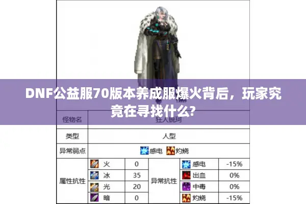 DNF公益服70版本养成服爆火背后，玩家究竟在寻找什么?