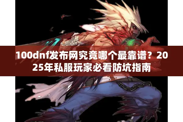 100dnf发布网究竟哪个最靠谱？2025年私服玩家必看防坑指南