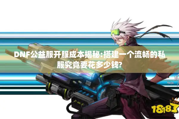 DNF公益服开服成本揭秘:搭建一个流畅的私服究竟要花多少钱?