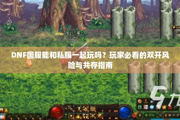 DNF国服能和私服一起玩吗？玩家必看的双开风险与共存指南