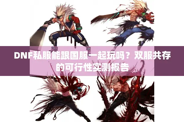 DNF私服能跟国服一起玩吗？双服共存的可行性实测报告