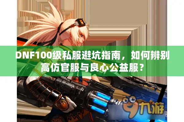DNF100级私服避坑指南，如何辨别高仿官服与良心公益服？