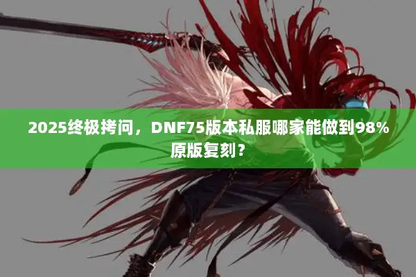 2025终极拷问，DNF75版本私服哪家能做到98%原版复刻？