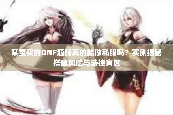 某宝买的DNF源码真的能做私服吗？实测揭秘搭建风险与法律盲区