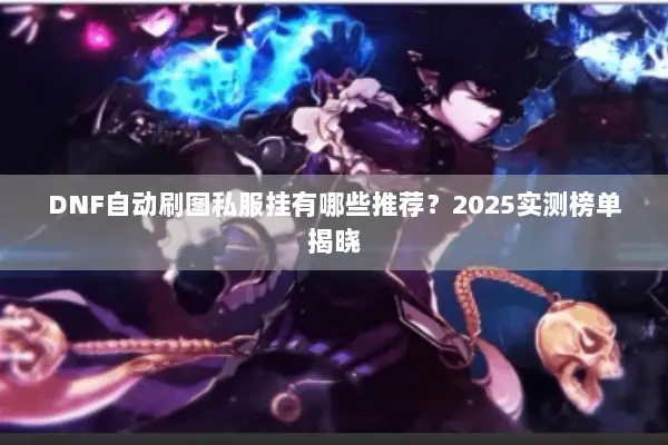 DNF自动刷图私服挂有哪些推荐？2025实测榜单揭晓