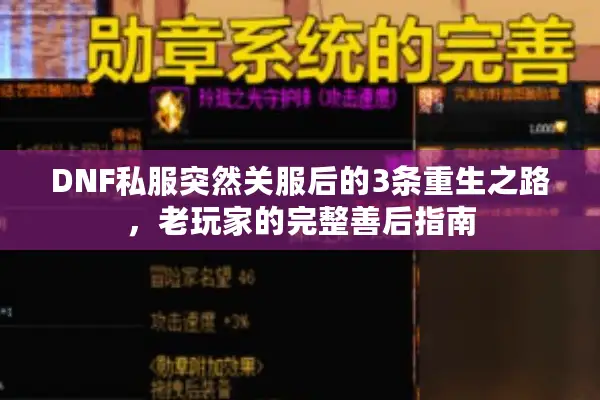 DNF私服突然关服后的3条重生之路，老玩家的完整善后指南