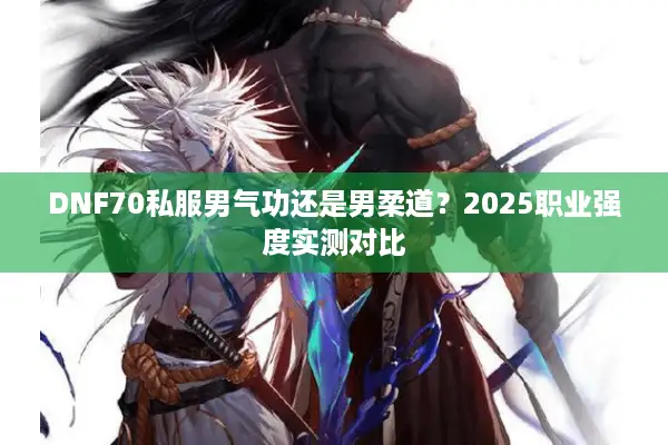 DNF70私服男气功还是男柔道？2025职业强度实测对比