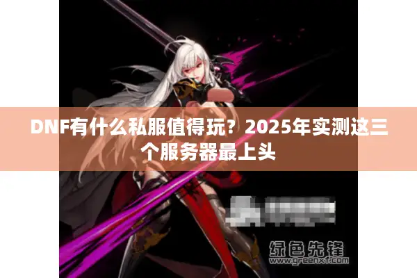 DNF有什么私服值得玩？2025年实测这三个服务器最上头