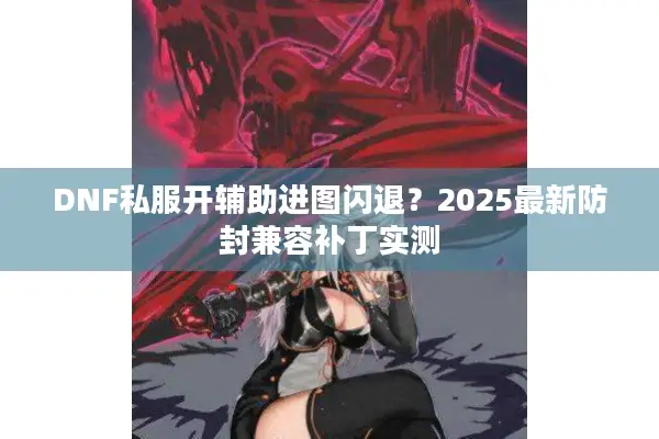 DNF私服开辅助进图闪退？2025最新防封兼容补丁实测