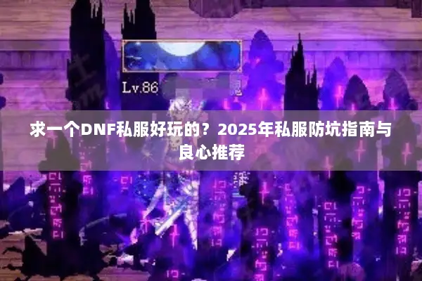 求一个DNF私服好玩的？2025年私服防坑指南与良心推荐