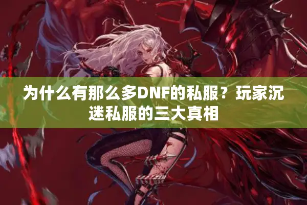 为什么有那么多DNF的私服？玩家沉迷私服的三大真相