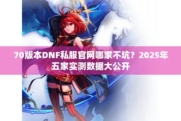 70版本DNF私服官网哪家不坑？2025年五家实测数据大公开