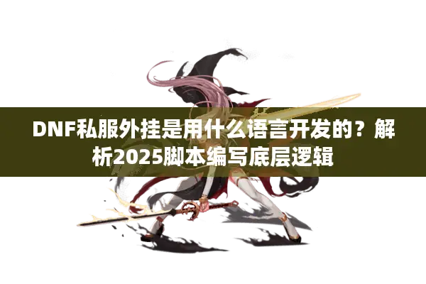 DNF私服外挂是用什么语言开发的？解析2025脚本编写底层逻辑