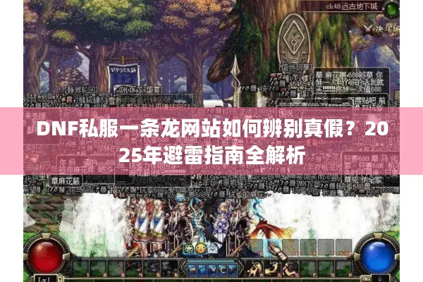DNF私服一条龙网站如何辨别真假？2025年避雷指南全解析