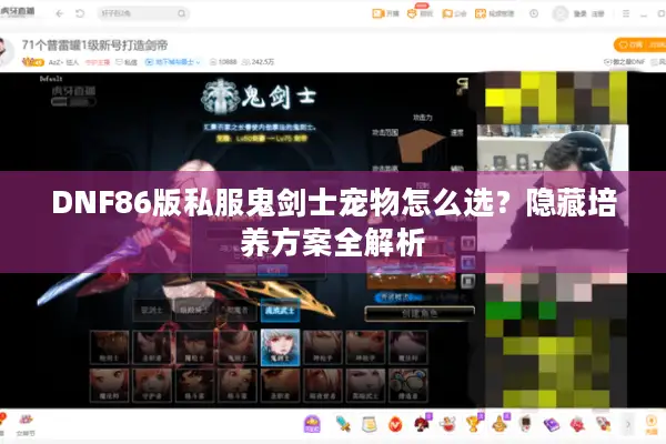 DNF86版私服鬼剑士宠物怎么选？隐藏培养方案全解析