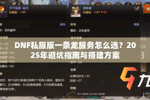DNF私服版一条龙服务怎么选？2025年避坑指南与搭建方案