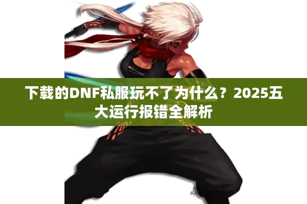 下载的DNF私服玩不了为什么？2025五大运行报错全解析