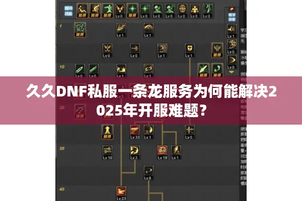 久久DNF私服一条龙服务为何能解决2025年开服难题？