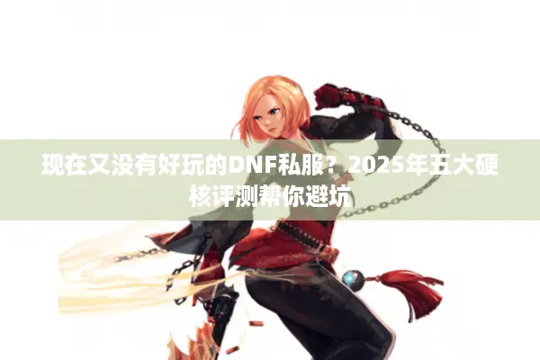 现在又没有好玩的DNF私服？2025年五大硬核评测帮你避坑