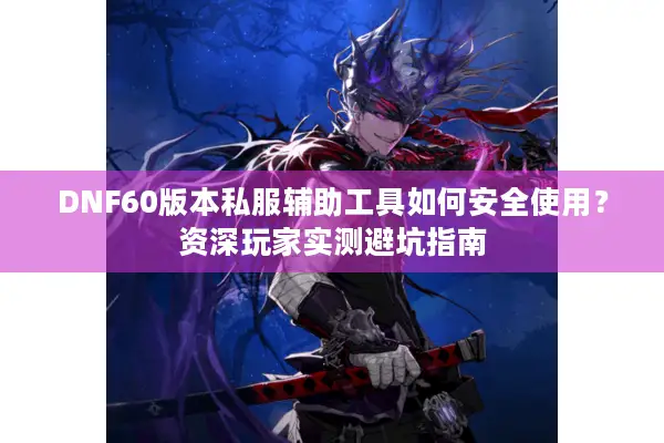 DNF60版本私服辅助工具如何安全使用？资深玩家实测避坑指南