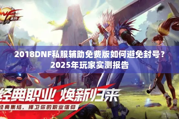 2018DNF私服辅助免费版如何避免封号？2025年玩家实测报告