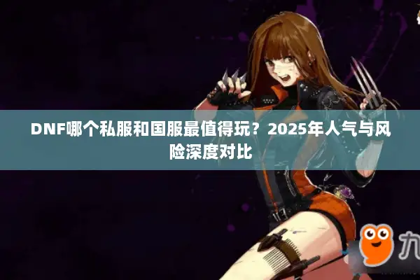 DNF哪个私服和国服最值得玩？2025年人气与风险深度对比