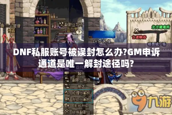 DNF私服账号被误封怎么办?GM申诉通道是唯一解封途径吗?