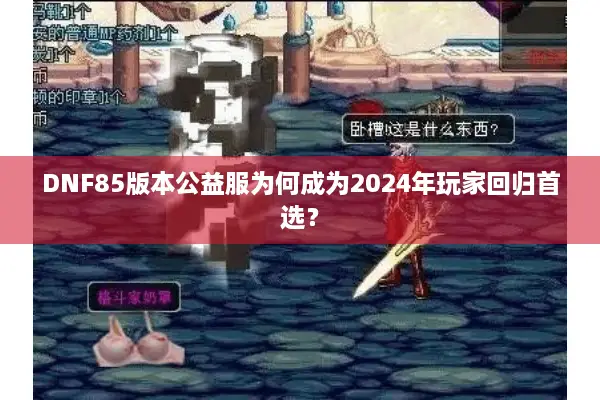 DNF85版本公益服为何成为2024年玩家回归首选？