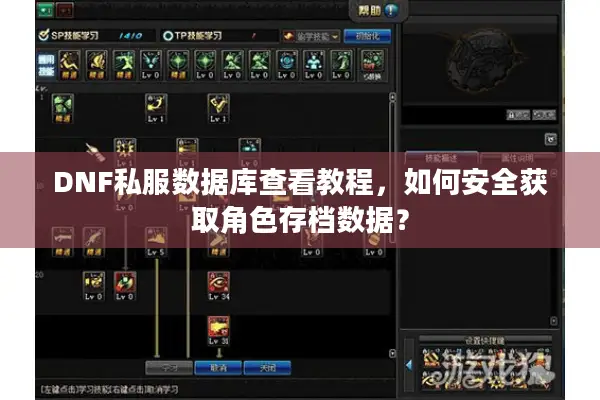 DNF私服数据库查看教程，如何安全获取角色存档数据？