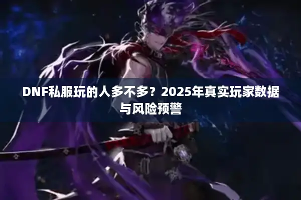 DNF私服玩的人多不多？2025年真实玩家数据与风险预警