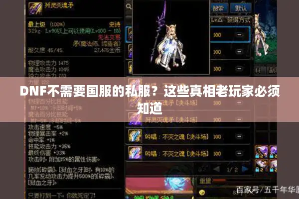 DNF不需要国服的私服？这些真相老玩家必须知道