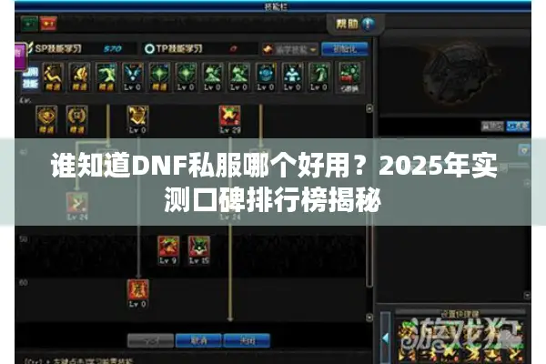 谁知道DNF私服哪个好用？2025年实测口碑排行榜揭秘