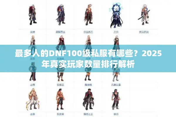 最多人的DNF100级私服有哪些？2025年真实玩家数量排行解析