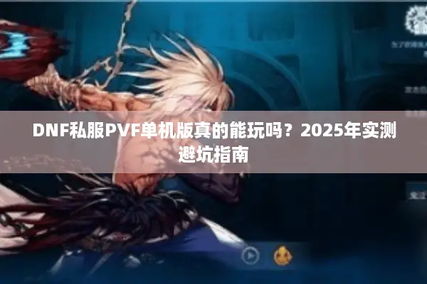 DNF私服PVF单机版真的能玩吗？2025年实测避坑指南