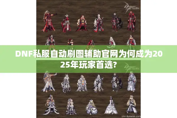 DNF私服自动刷图辅助官网为何成为2025年玩家首选?