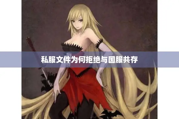 私服文件为何拒绝与国服共存