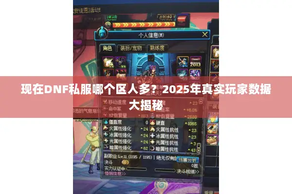 现在DNF私服哪个区人多？2025年真实玩家数据大揭秘