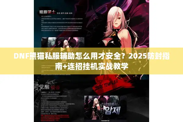 DNF熊猫私服辅助怎么用才安全？2025防封指南+连招挂机实战教学