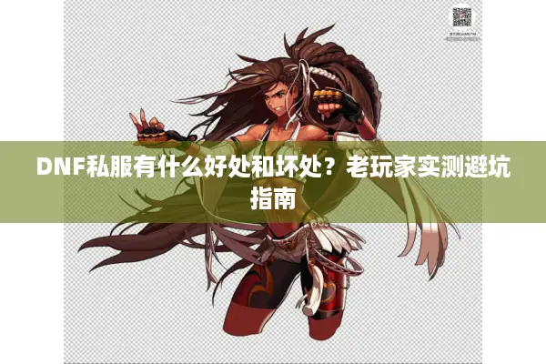DNF私服有什么好处和坏处？老玩家实测避坑指南