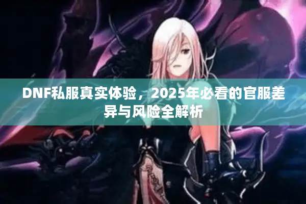 DNF私服真实体验，2025年必看的官服差异与风险全解析