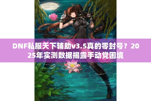 DNF私服天下辅助v3.5真的零封号？2025年实测数据揭露手动党困境