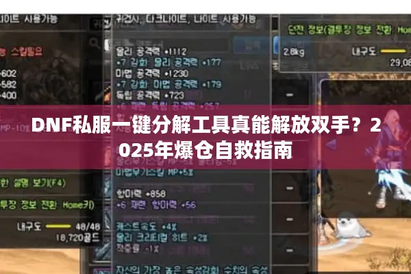 DNF私服一键分解工具真能解放双手？2025年爆仓自救指南