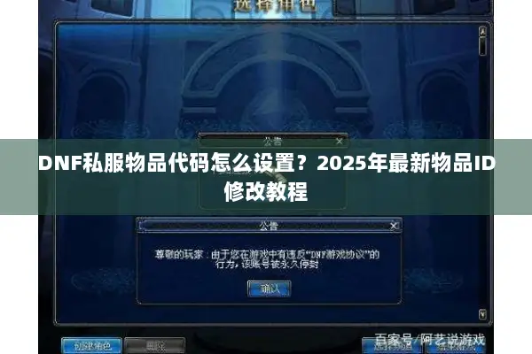 DNF私服物品代码怎么设置？2025年最新物品ID修改教程