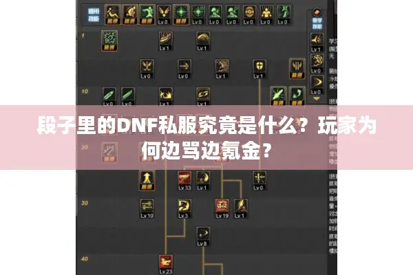 段子里的DNF私服究竟是什么？玩家为何边骂边氪金？