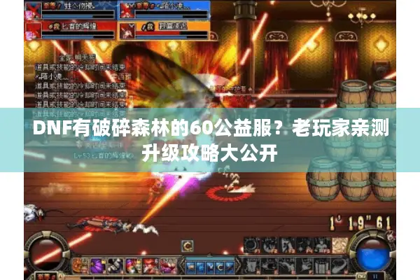 DNF有破碎森林的60公益服？老玩家亲测升级攻略大公开