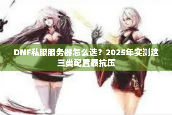 DNF私服服务器怎么选？2025年实测这三类配置最抗压