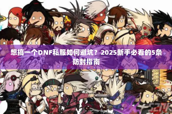 想搞一个DNF私服如何避坑？2025新手必看的5条防封指南